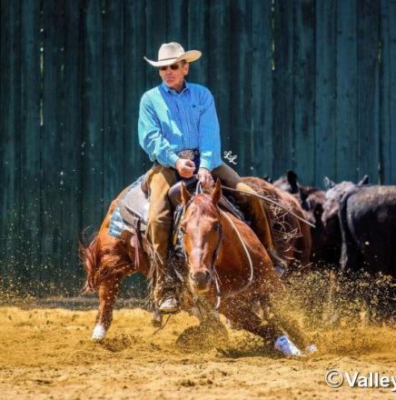 HorseID: 2309984 A Boy Named Suen - PhotoID: 1094567