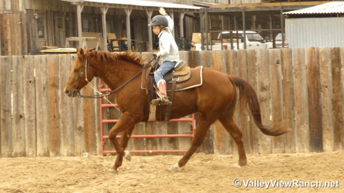 HorseID: 2309984 A Boy Named Suen - PhotoID: 1094568