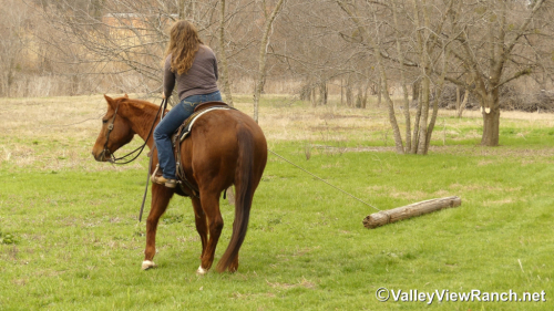 HorseID: 2309984 A Boy Named Suen - PhotoID: 1094569