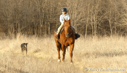 HorseID: 2309984 A Boy Named Suen - PhotoID: 1094570