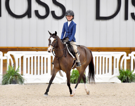 HorseID: 2309986 Forget Me Not - PhotoID: 1094579