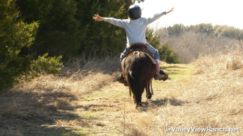 HorseID: 2309988 Cookie - PhotoID: 1094584