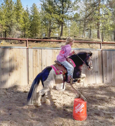 HorseID: 2309990 Po - PhotoID: 1094593