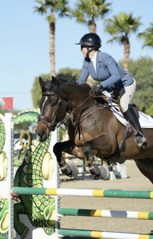 HorseID: 2310005 Tango Tom - PhotoID: 1094927