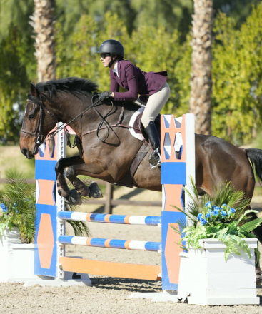 HorseID: 2310005 Tango Tom - PhotoID: 1094928