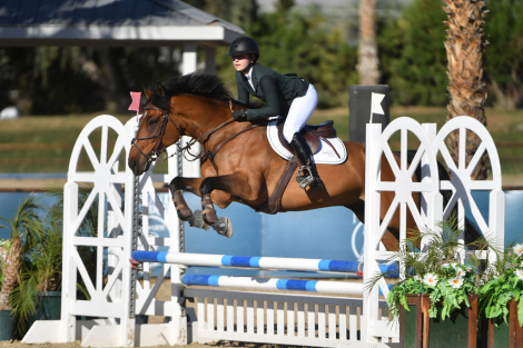 HorseID: 2310005 Tango Tom - PhotoID: 1094928