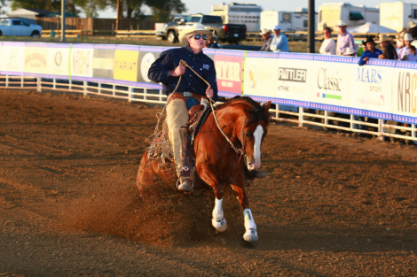 HorseID: 2310031 SPARKY CLARK - PhotoID: 1094618