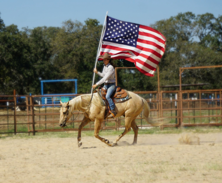 HorseID: 2310032 BLUS CLUES - PhotoID: 1094625