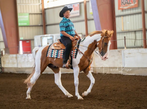 HorseID: 2310045 I spotted a star - PhotoID: 1094646