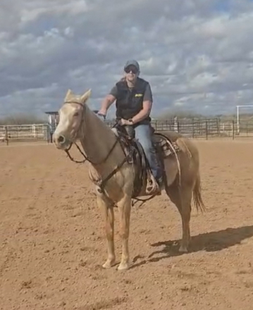 HorseID: 2310051 Gemma Jo Kid - PhotoID: 1095022