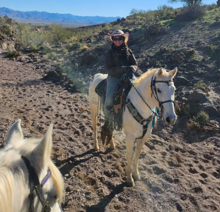 HorseID: 2310062 Platinum - PhotoID: 1094653