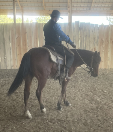 HorseID: 2310069 Kim frost Evans - PhotoID: 1094659