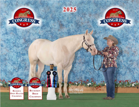 HorseID: 2310070 Rum On The Roxx - PhotoID: 1094660