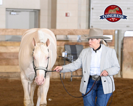 HorseID: 2310070 Rum On The Roxx - PhotoID: 1094663