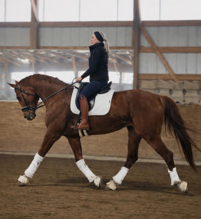 HorseID: 2310073 Chocolate Desire W - PhotoID: 1095099