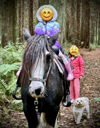 HorseID: 2310095 SD Kohls Lady Jane - PhotoID: 1095566