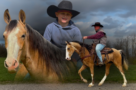 HorseID: 2310120 Martin - PhotoID: 1094685