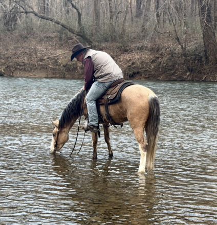 HorseID: 2310120 Martin - PhotoID: 1094688