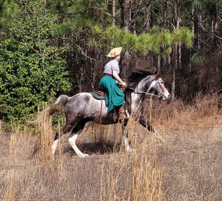 HorseID: 2310121 FGF Utah Indian Tribe - PhotoID: 1094690