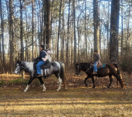 HorseID: 2310121 FGF Utah Indian Tribe - PhotoID: 1094691
