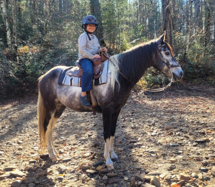 HorseID: 2310121 FGF Utah Indian Tribe - PhotoID: 1094692