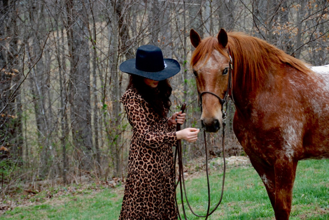 HorseID: 2310124 Applesauce - PhotoID: 1094700