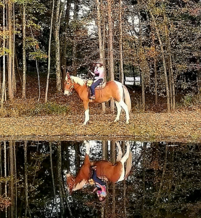 HorseID: 2310166 Marvelous Mabel - PhotoID: 1094766