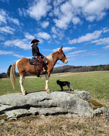 HorseID: 2310166 Marvelous Mabel - PhotoID: 1094769