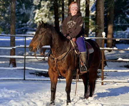 HorseID: 2310175 Conway - PhotoID: 1094788