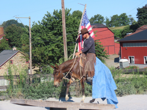 HorseID: 2310188 Betty Boop - PhotoID: 1094798