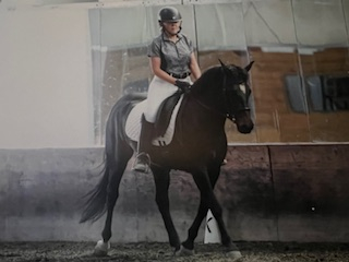 HorseID: 2310191 Pferdetraum Blitzen - PhotoID: 1094804