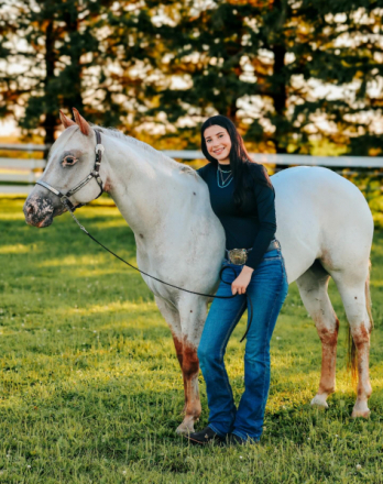 HorseID: 2310209 Zips Little Elsa - PhotoID: 1094818