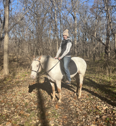 HorseID: 2310209 Zips Little Elsa - PhotoID: 1094821