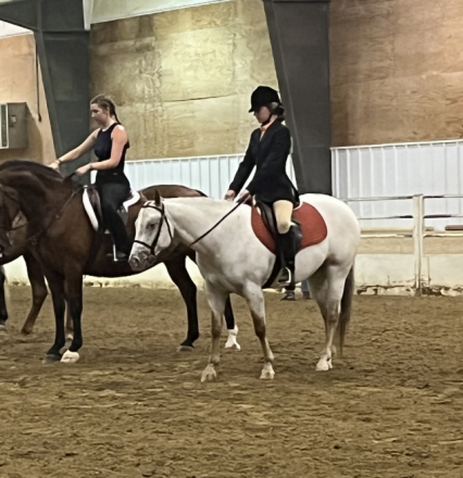 HorseID: 2310209 Zips Little Elsa - PhotoID: 1094823