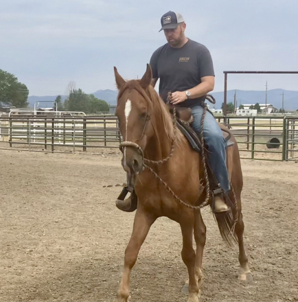 HorseID: 2310213 LNR Carbons Flaming Glory - PhotoID: 1094833