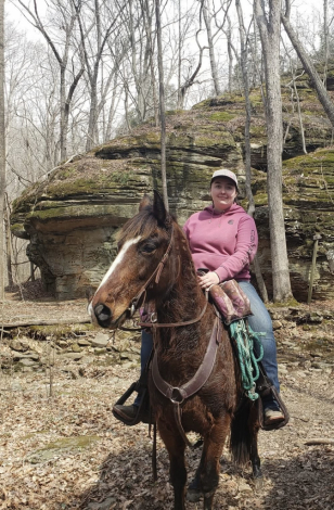 HorseID: 2310215 Bingo - PhotoID: 1094839