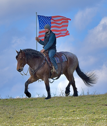 HorseID: 2310217 Toast - PhotoID: 1094843