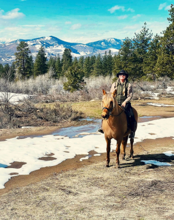 HorseID: 2310232 Big Talks Ivory Chance - PhotoID: 1094870