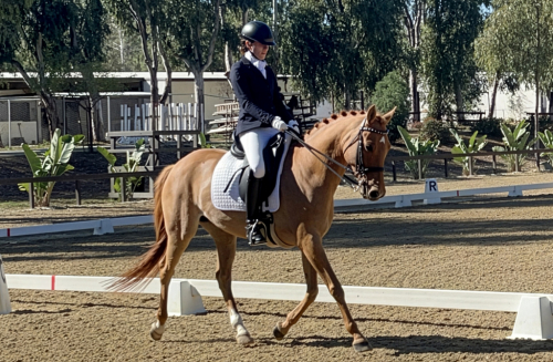 HorseID: 2310242 Daily Motion - PhotoID: 1094878