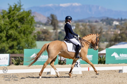 HorseID: 2310242 Daily Motion - PhotoID: 1094876