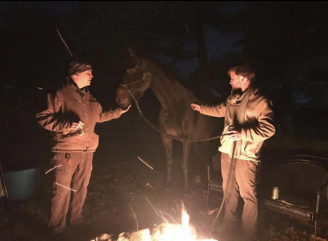 HorseID: 2310264 Hendrix - PhotoID: 1094897