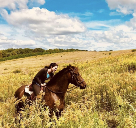 HorseID: 2310264 Hendrix - PhotoID: 1094898