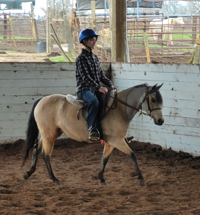 HorseID: 2310281 PC Dawns Early Sky - PhotoID: 1095124