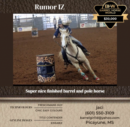 HorseID: 2310315 Rumor IZ - PhotoID: 1094956