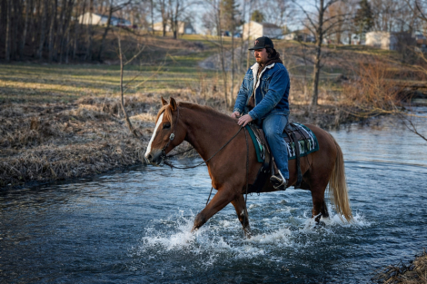 HorseID: 2310326 Duke - PhotoID: 1094970