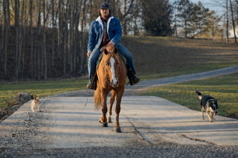 HorseID: 2310326 Duke - PhotoID: 1094971