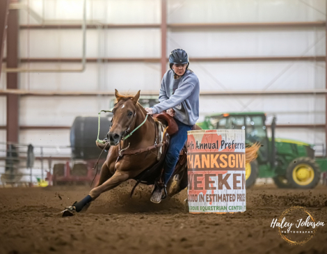 HorseID: 2310339 A Fling With Dixie - PhotoID: 1094987