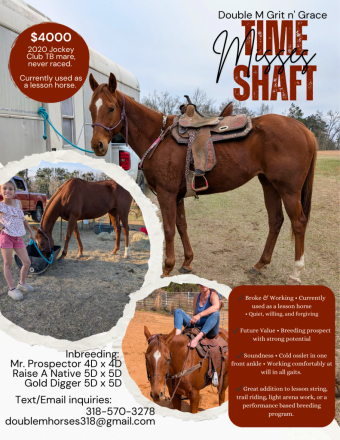 HorseID: 2310369 Timeshaft - PhotoID: 1095017