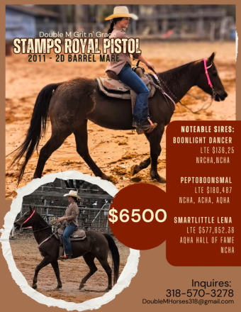 HorseID: 2310371 Stamps Royal Pistol - PhotoID: 1095018