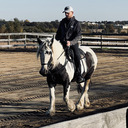 HorseID: 2310411 Shimmering Light of SR - PhotoID: 1095070